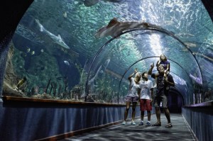 B_c6a0ec8c023e2fcd4b926fd4298c5ca0