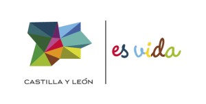 logo-vector-castilla-y-leon-es-vida